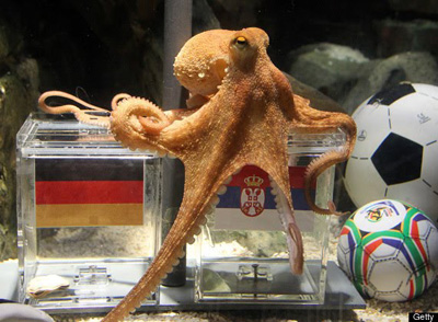 WORLD-CUP-OCTOPUS-PAUL-GERMANY